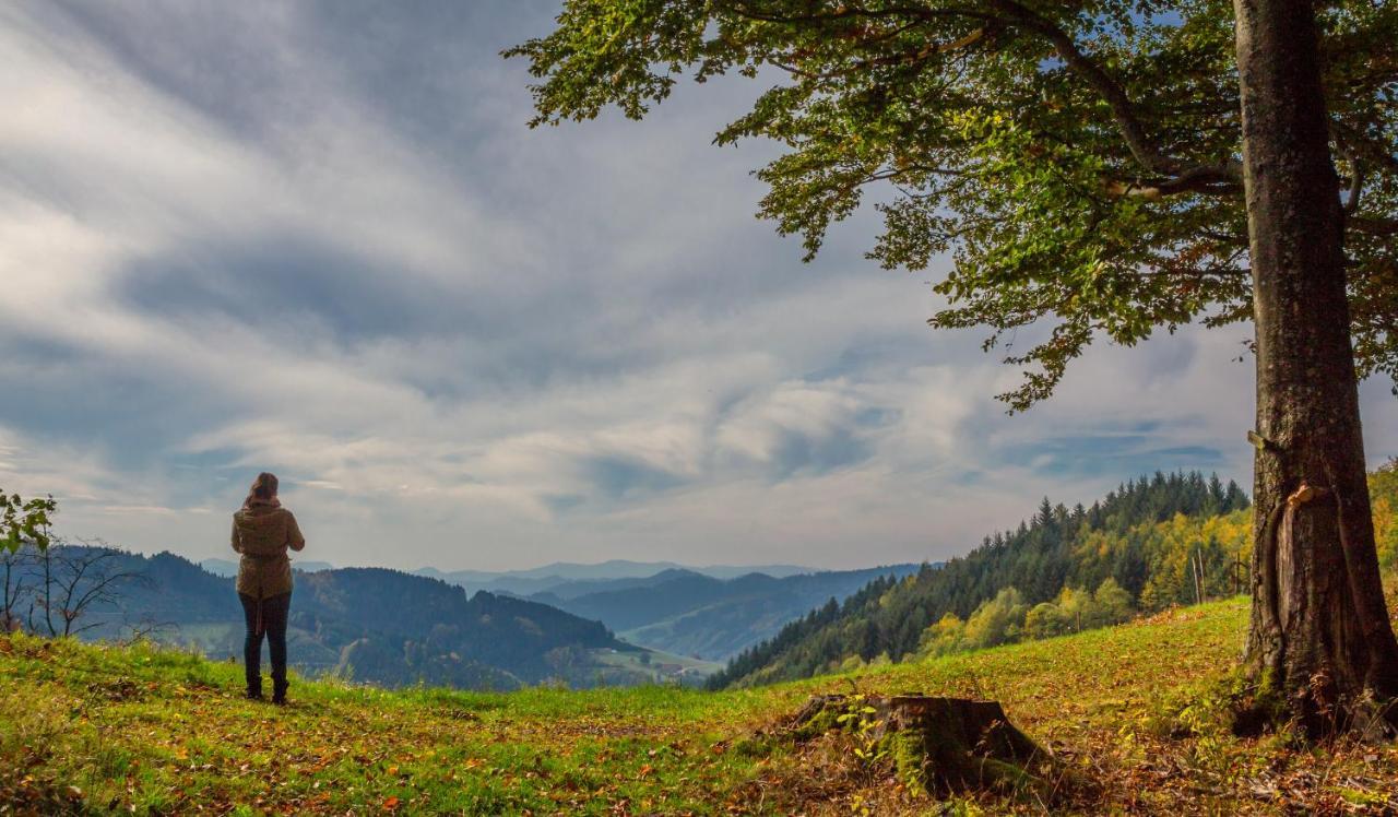 Ferienwohnung Mit Komfort Oberharmersbach Buitenkant foto