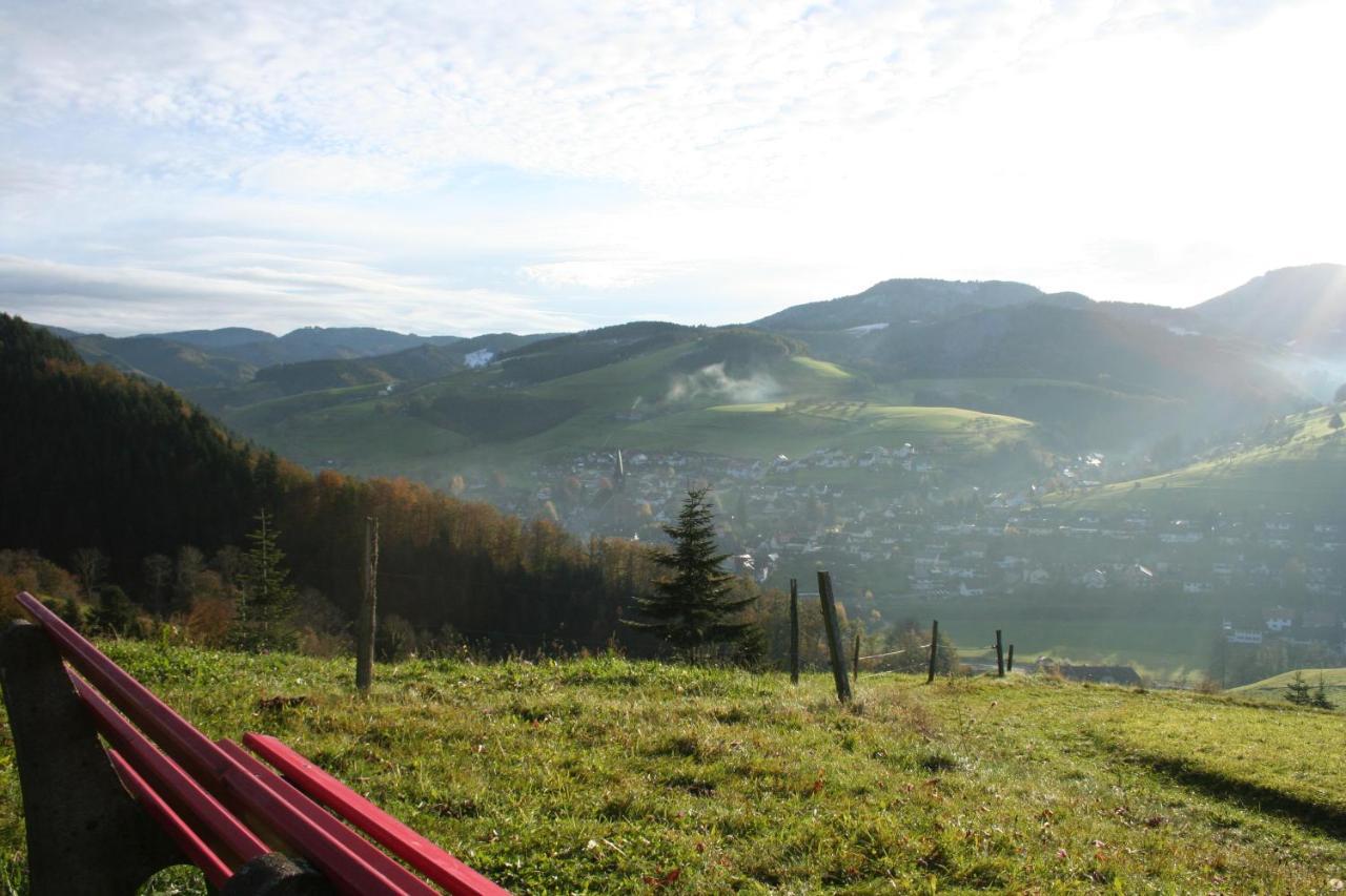 Ferienwohnung Mit Komfort Oberharmersbach Buitenkant foto