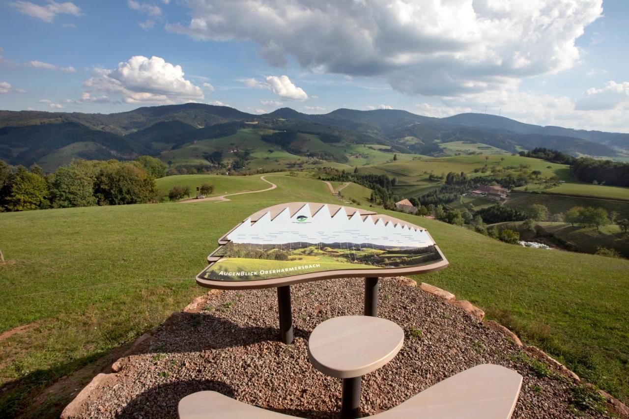 Ferienwohnung Mit Komfort Oberharmersbach Buitenkant foto