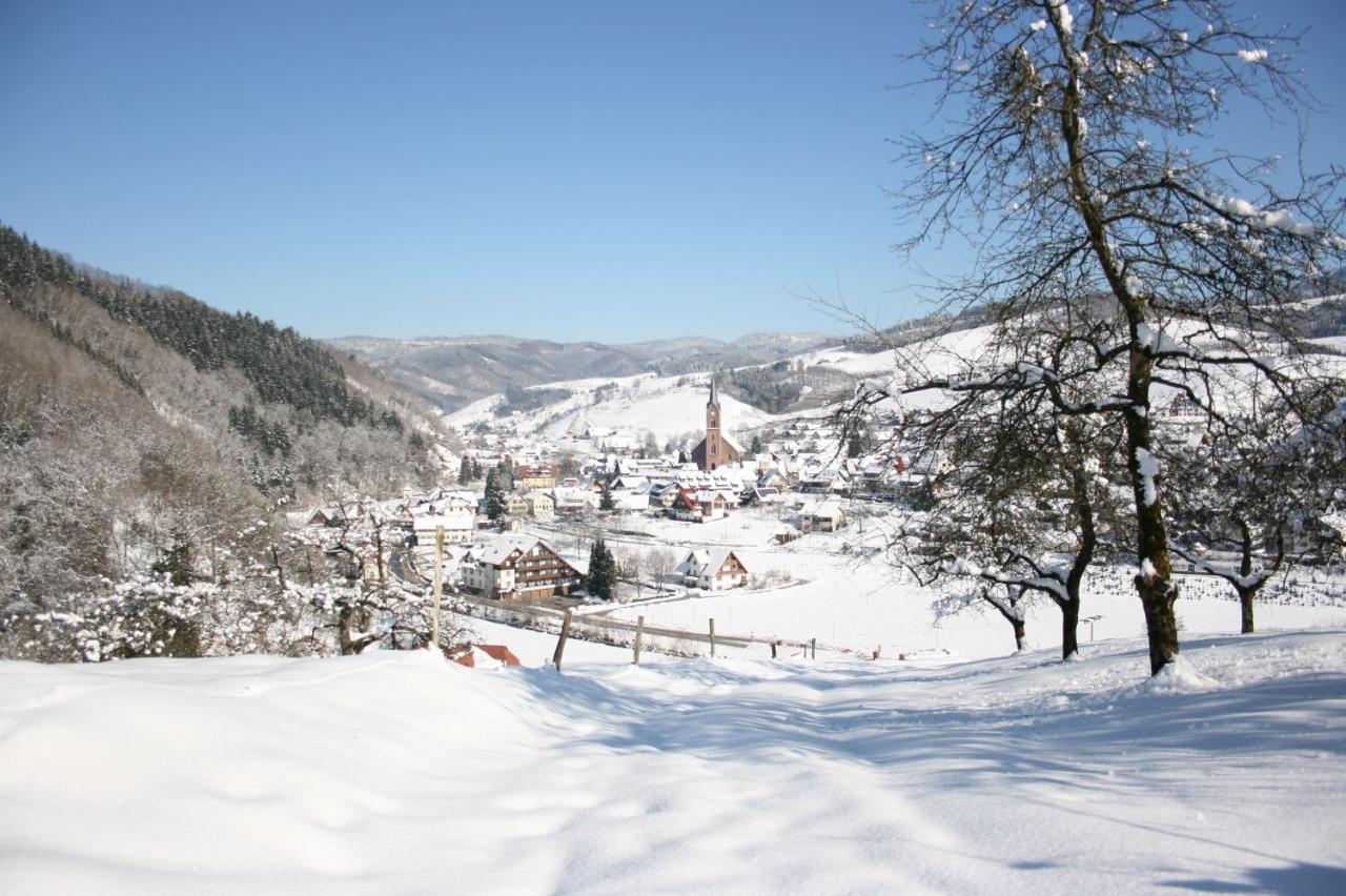 Ferienwohnung Mit Komfort Oberharmersbach Buitenkant foto