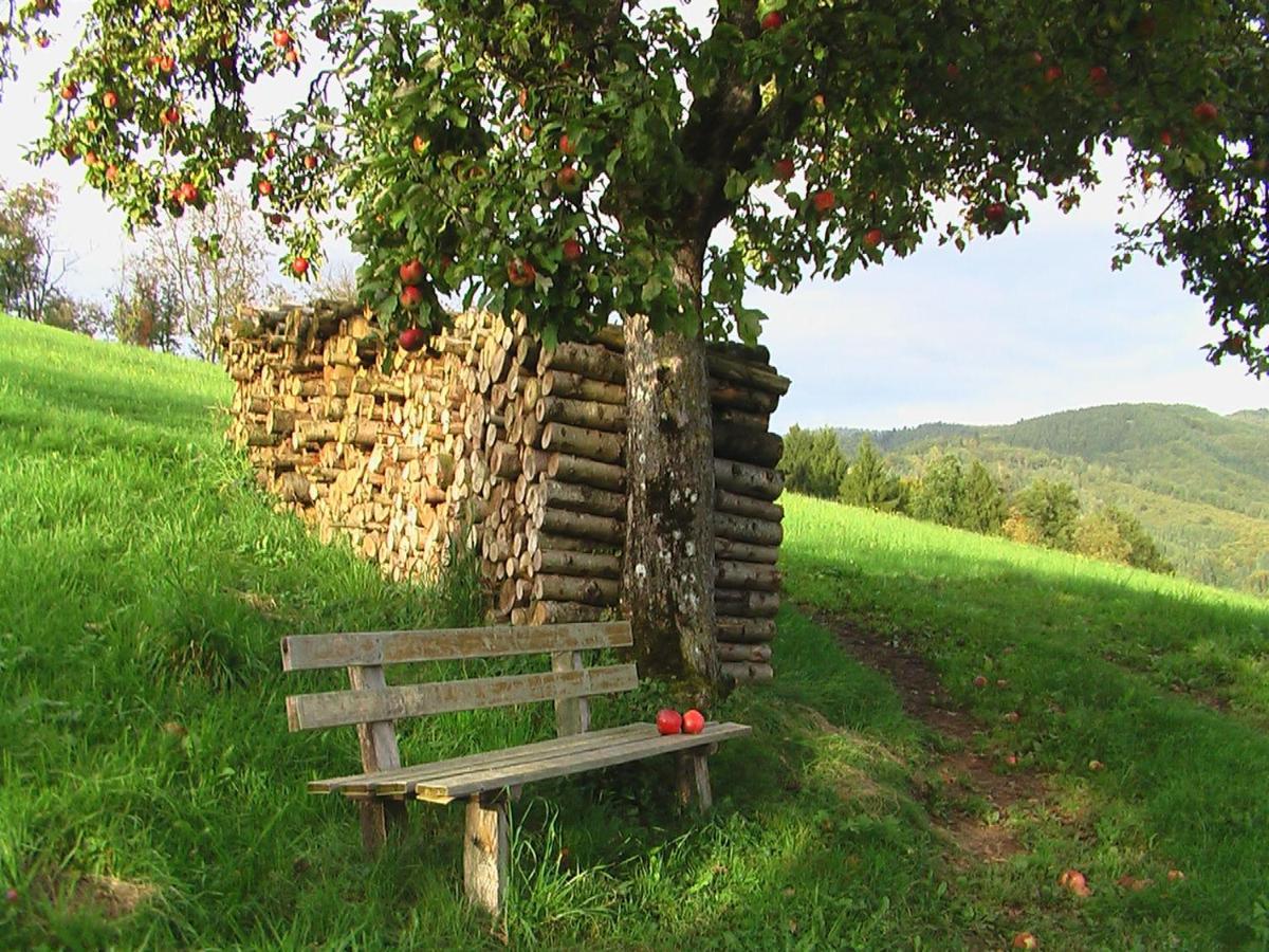 Ferienwohnung Mit Komfort Oberharmersbach Buitenkant foto