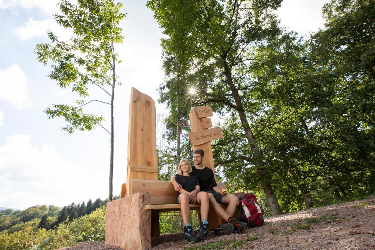 Ferienwohnung Mit Komfort Oberharmersbach Buitenkant foto