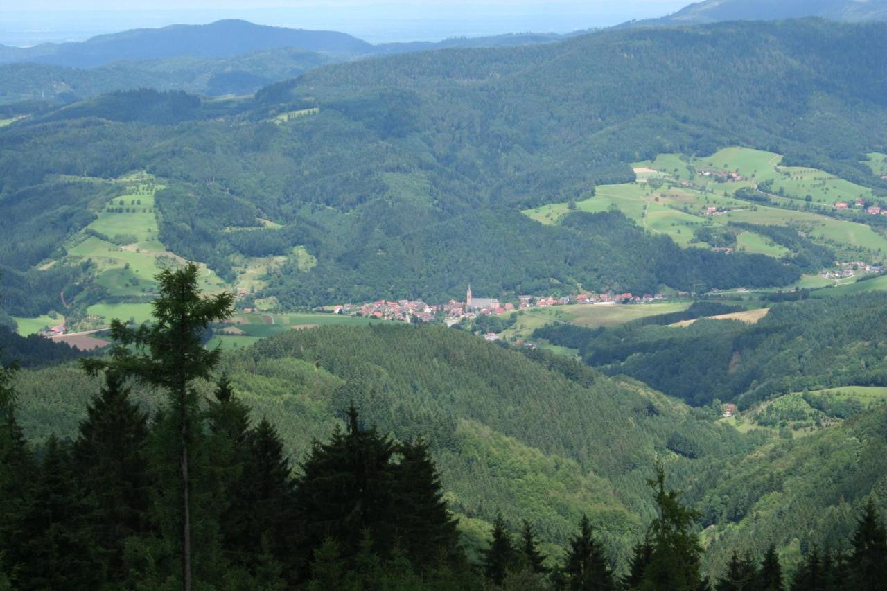 Ferienwohnung Mit Komfort Oberharmersbach Buitenkant foto