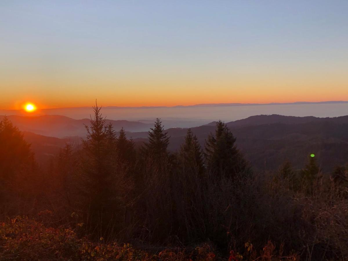 Ferienwohnung Mit Komfort Oberharmersbach Buitenkant foto