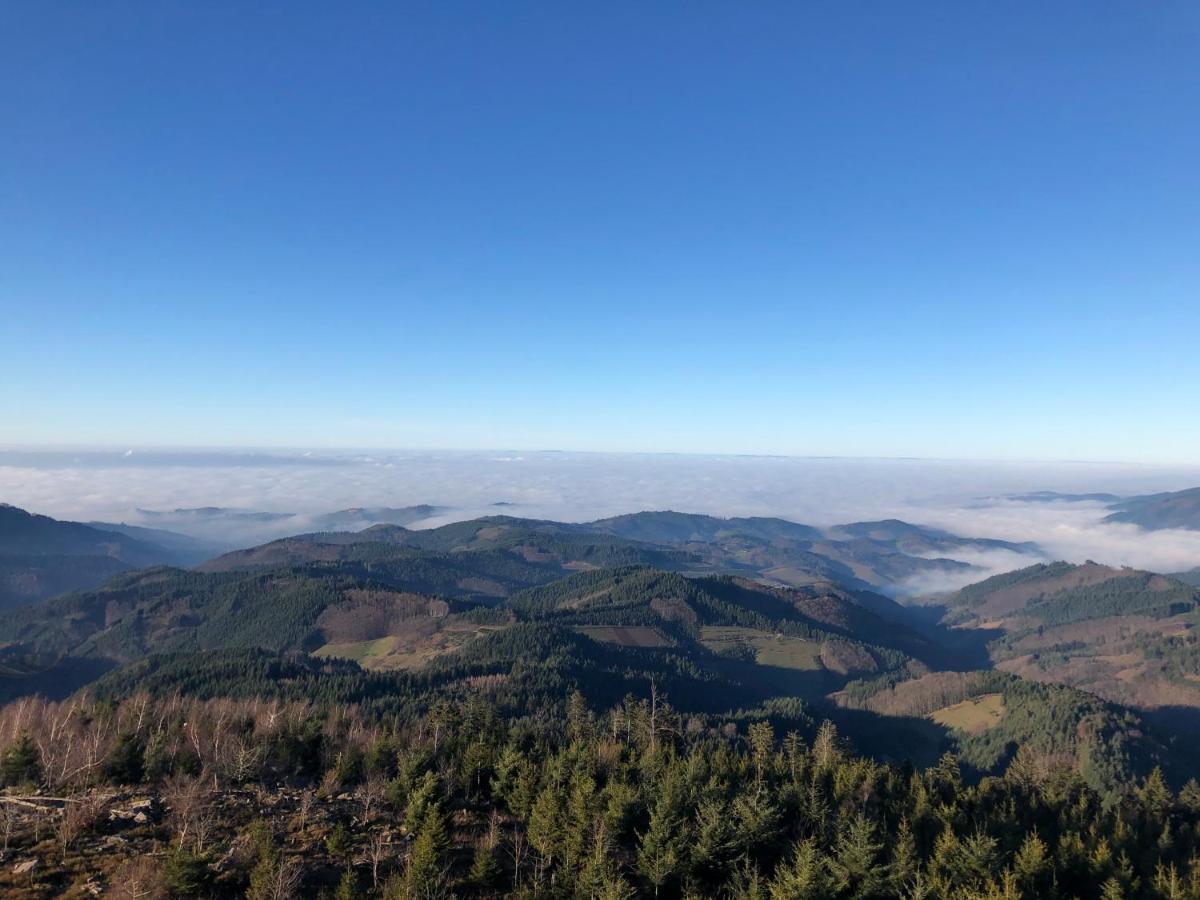 Ferienwohnung Mit Komfort Oberharmersbach Buitenkant foto