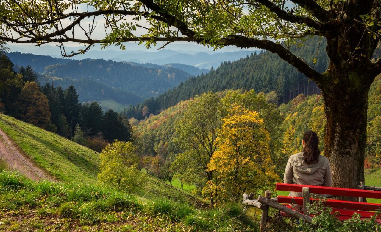 Ferienwohnung Mit Komfort Oberharmersbach Buitenkant foto