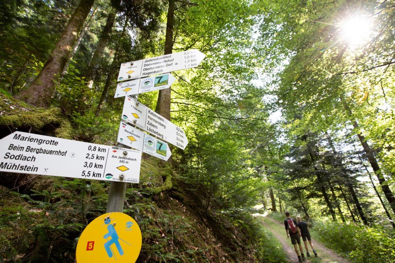 Ferienwohnung Mit Komfort Oberharmersbach Buitenkant foto